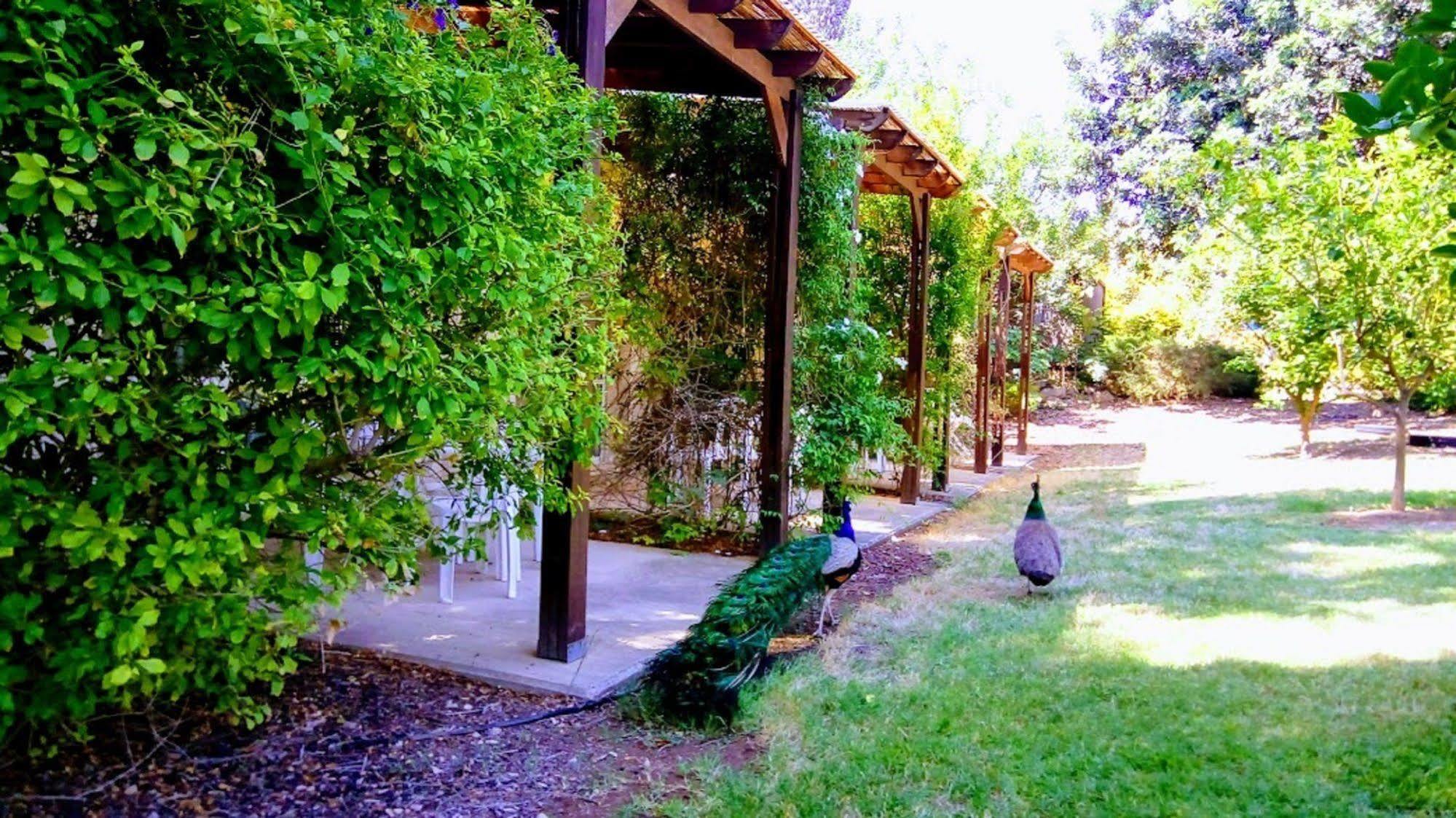 Kibbutz Tiratzvi - Country Lodging Tirat Zevi Exterior foto